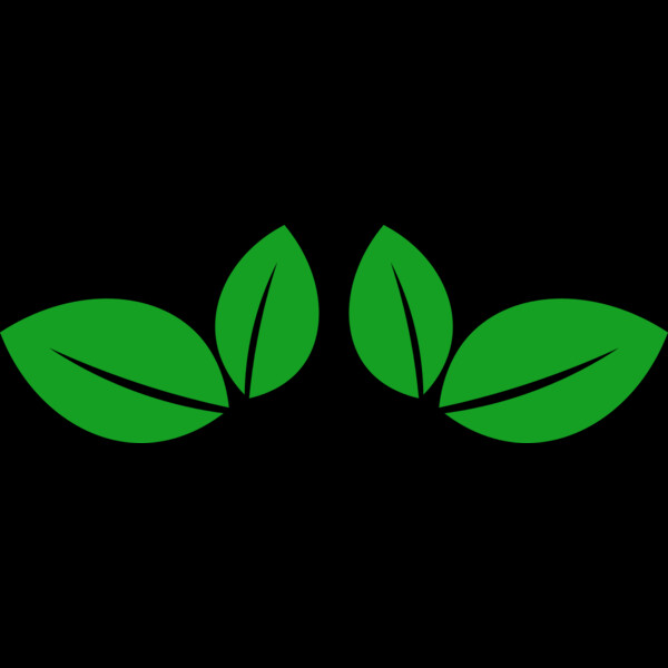11 Leaves Thumbnail