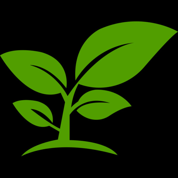 12 Leaves Thumbnail