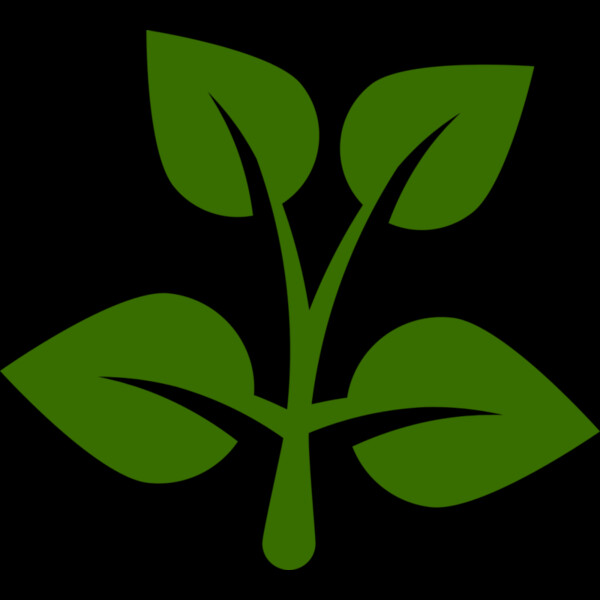 15 Leaves Thumbnail