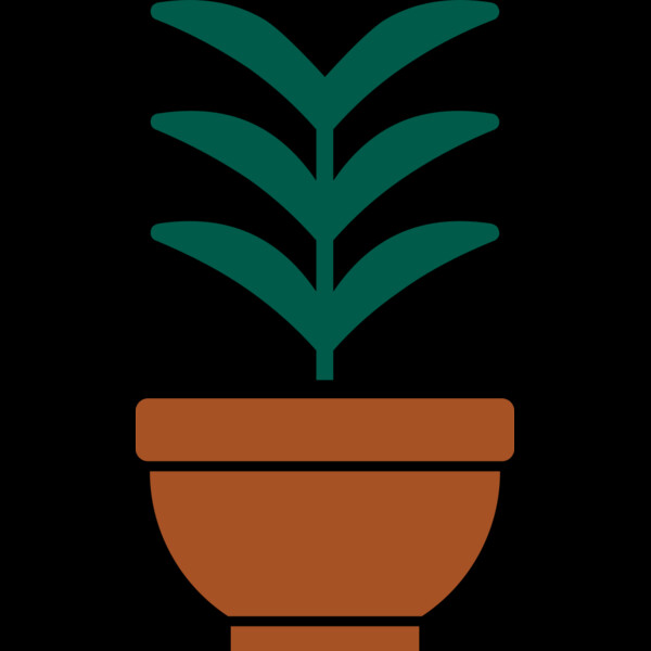 Plant 2 Thumbnail