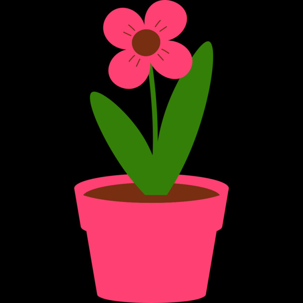 Plant 4 Thumbnail