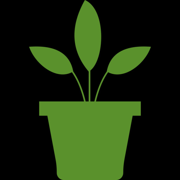 Plant 2 Thumbnail