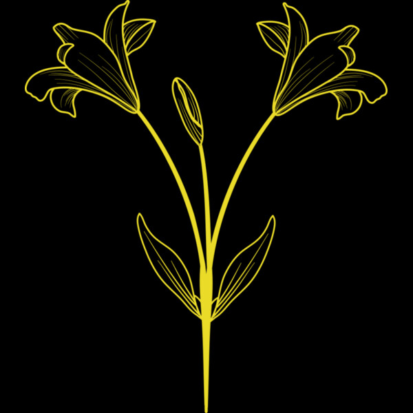 Flowers 9 Thumbnail