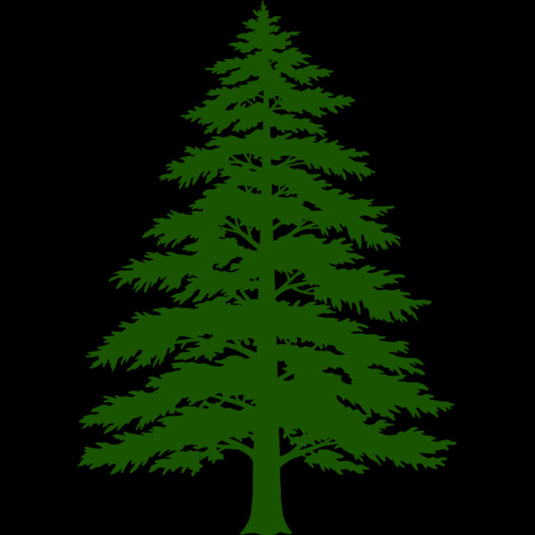 Tree Plant 3 Thumbnail