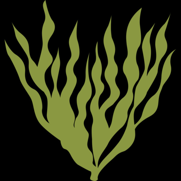 Sea Plants 5 Thumbnail