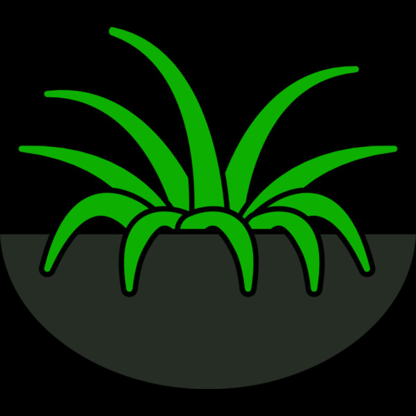 Plants 6 Thumbnail