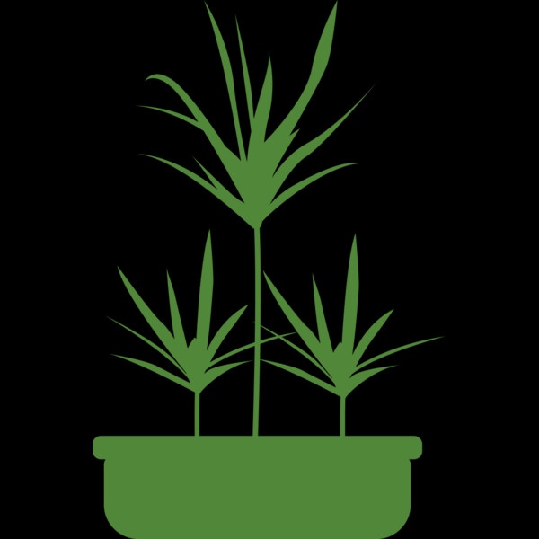 Plants 5 Thumbnail