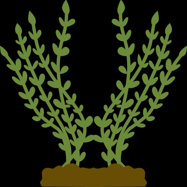 Plants 4 Thumbnail