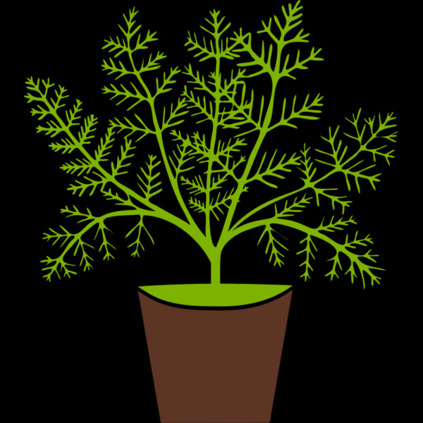 Plant Thumbnail