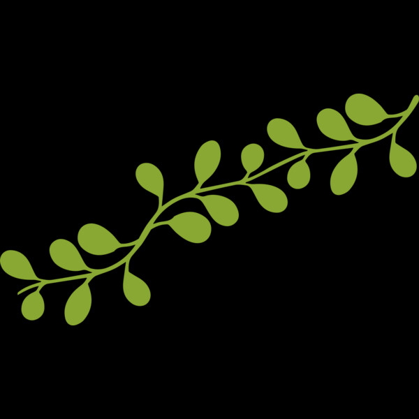 Leaves 13 Thumbnail