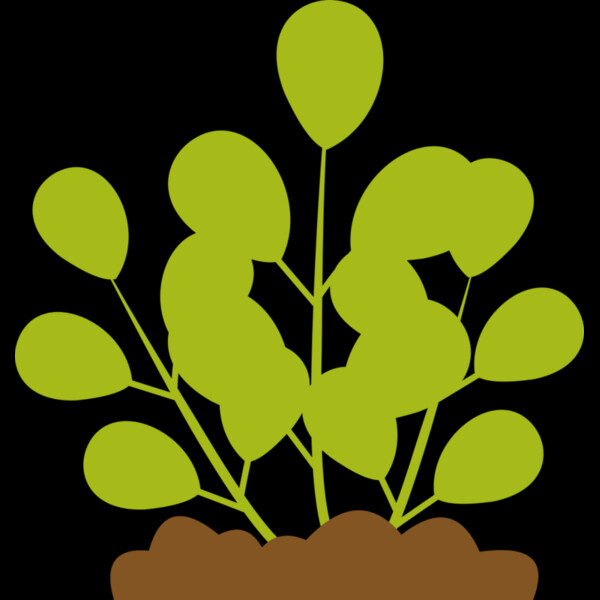 Leaves 12 Thumbnail
