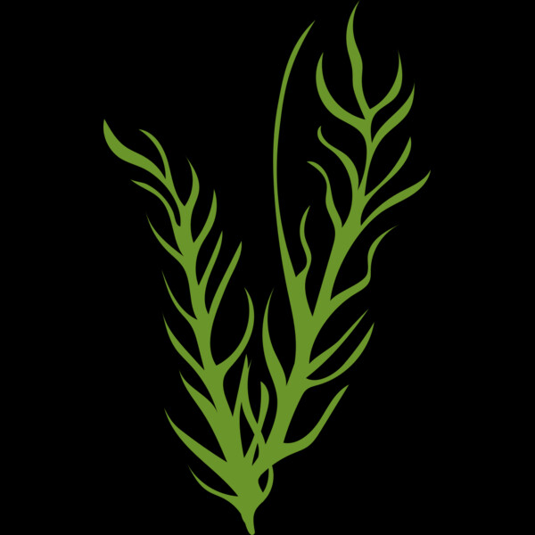 Leaves 8 Thumbnail