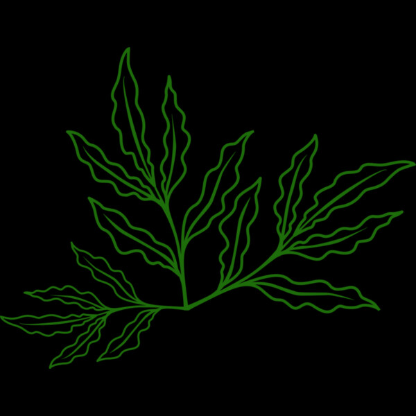 Leaves 7 Thumbnail