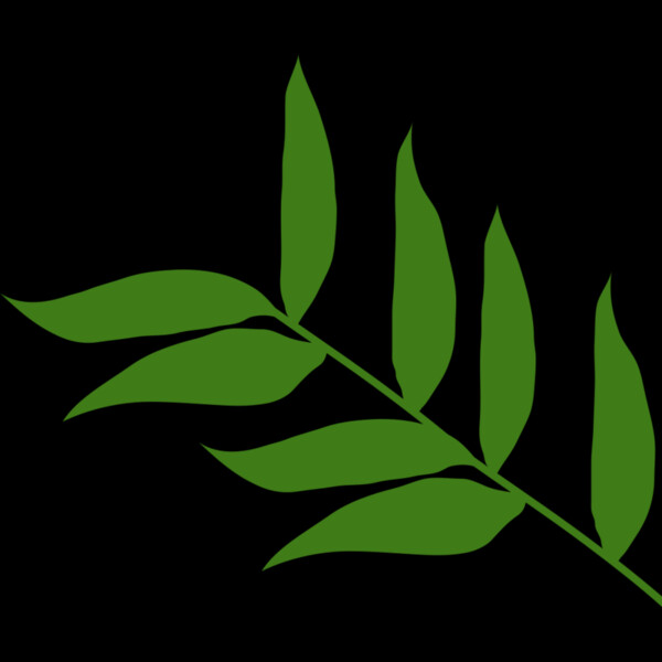 Leaves 5 Thumbnail