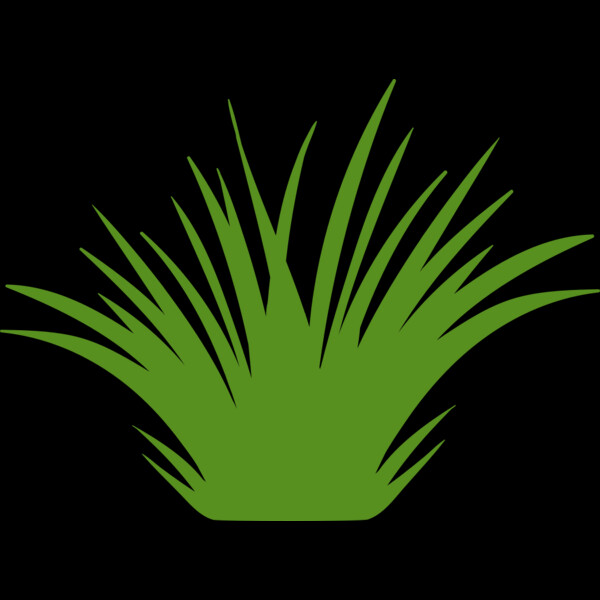 Grass 2 Thumbnail